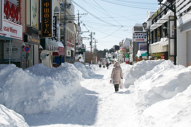 軽井沢、大雪から４日目05