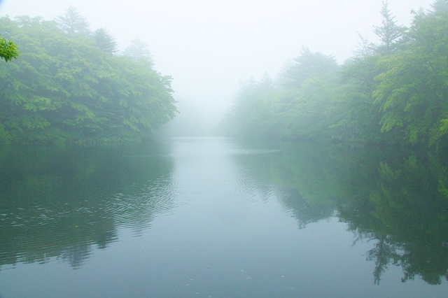 霧の雲場池