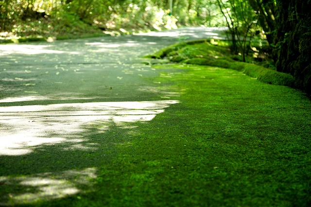 2013-07-09 14-06-56.jpg