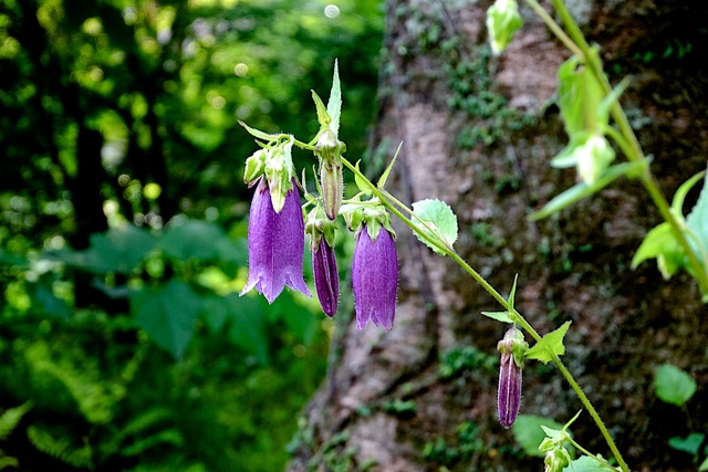 2013-07-09 16-23-38.jpg