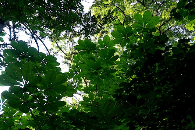 2013-07-09 16-26-01.jpg