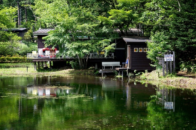 緑の雲場池