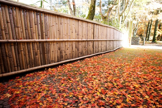 秋の軽井沢