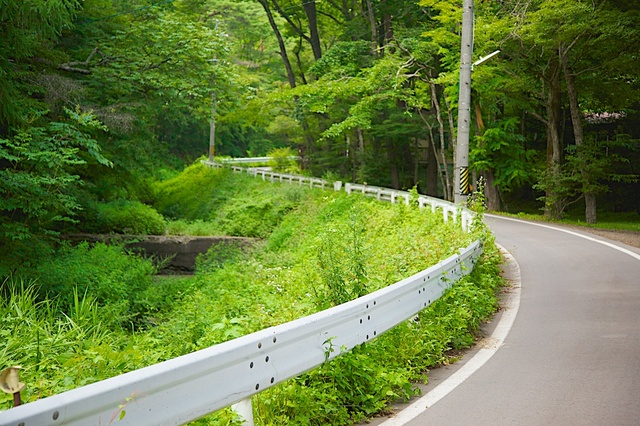 お気持ちの道