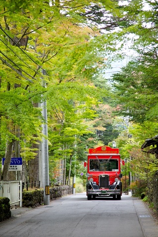 旧軽井沢紅葉状況