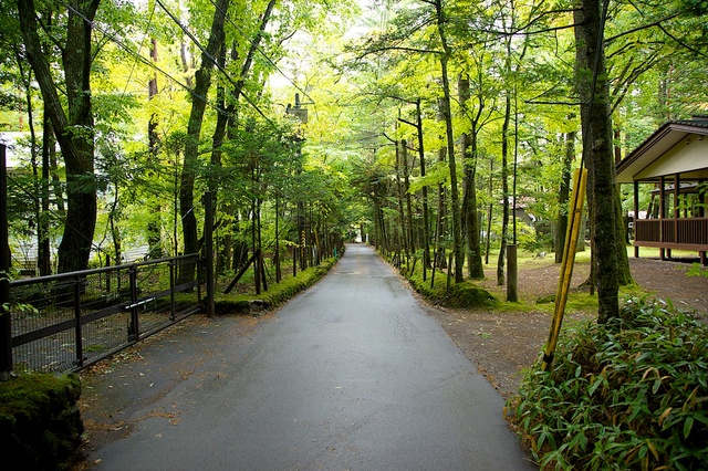 お気持ちの道５