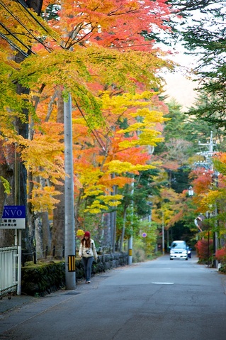 ピークを迎える旧軽井沢のもみじ01