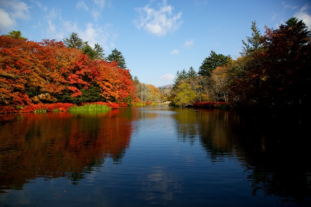 紅葉の雲場池