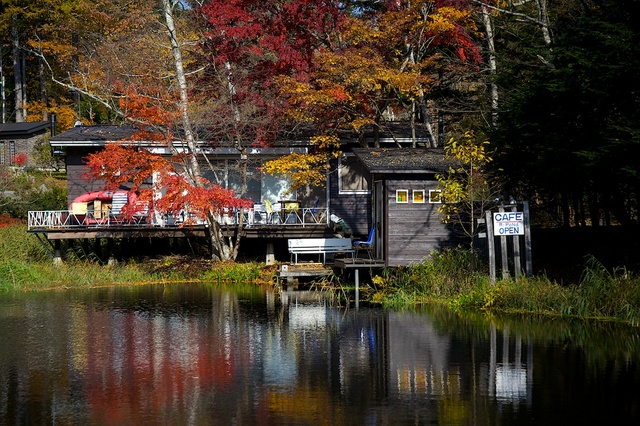 紅葉の雲場池７