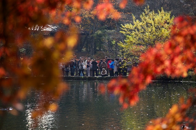 紅葉の雲場池９