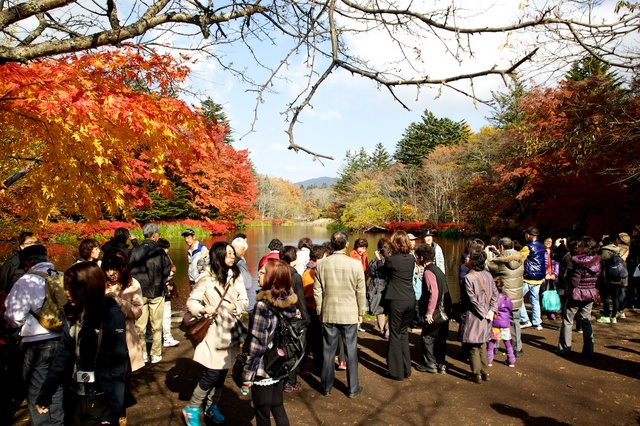 紅葉の雲場池