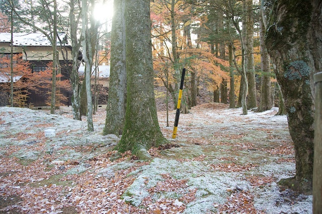 軽井沢の初雪４