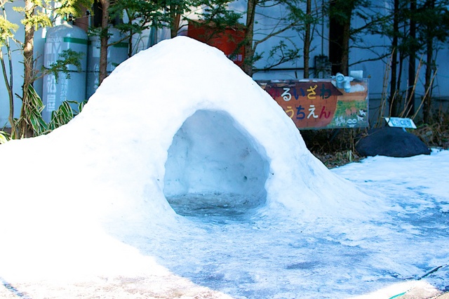 軽井沢幼稚園のかまくら