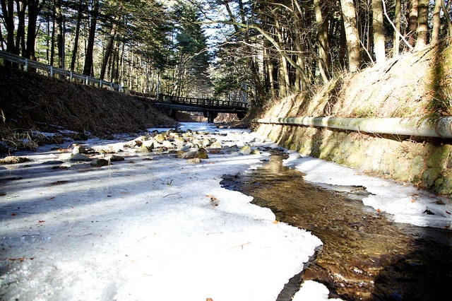 軽井沢２月の雪解け03