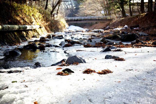 軽井沢２月の雪解け05