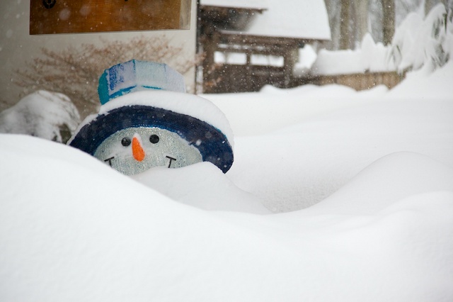 軽井沢観測史上初大雪03