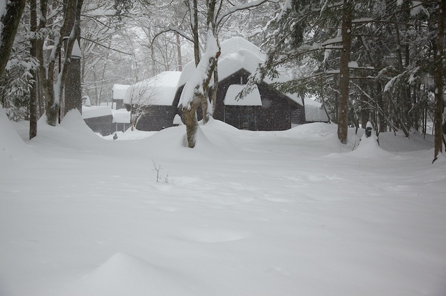 軽井沢観測史上初大雪05