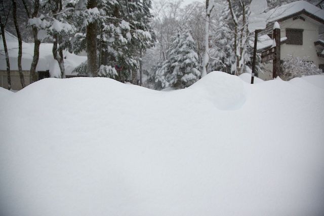 軽井沢観測史上初大雪04