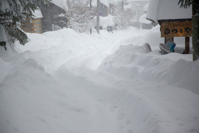 軽井沢観測史上初大雪02