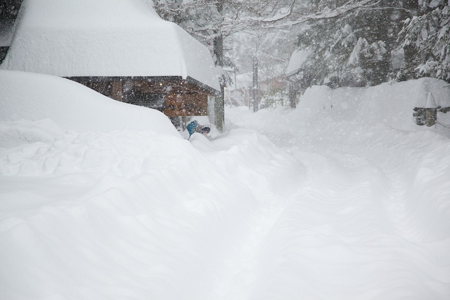 軽井沢観測史上初大雪01