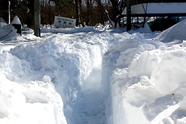 軽井沢、大雪から４日目07