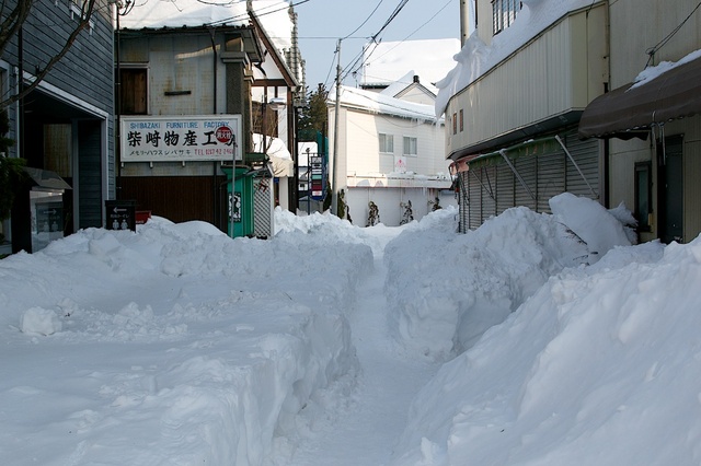 軽井沢大雪から６日目05