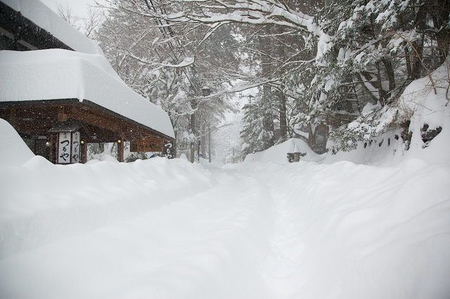 大雪の軽井沢を振り返って