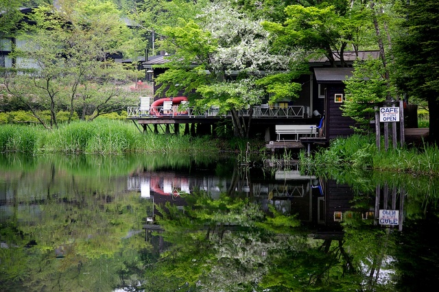 新緑の雲場池のカフェ