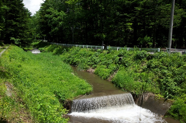 久しぶりに晴れた軽井沢