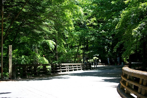 軽井沢宿から坂本宿まで中山道10