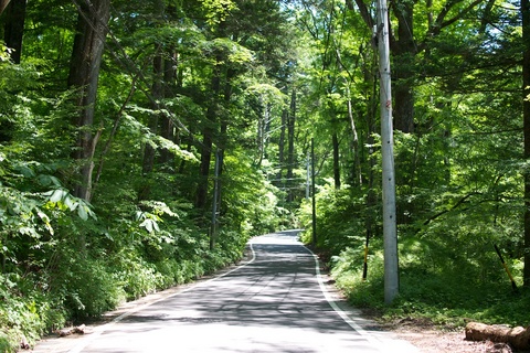 軽井沢宿から坂本宿まで中山道13