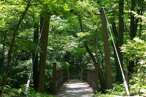 軽井沢宿から坂本宿まで中山道17