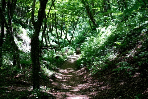 軽井沢宿から坂本宿まで中山道19