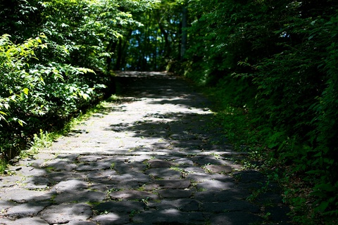 軽井沢宿から坂本宿まで中山道23