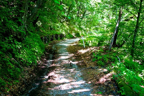 軽井沢宿から坂本宿まで中山道39