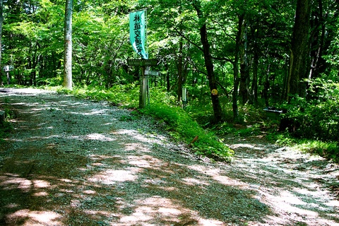 軽井沢宿から坂本宿まで中山道41