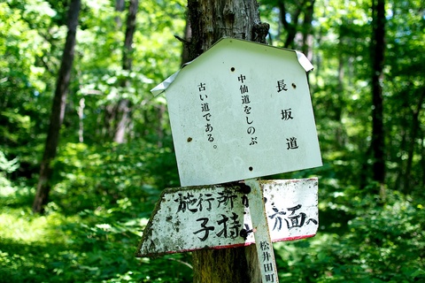 軽井沢宿から坂本宿まで中山道43