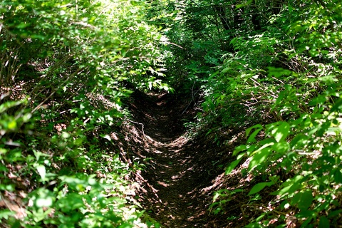 軽井沢宿から坂本宿まで中山道45