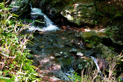 軽井沢宿から坂本宿まで中山道46