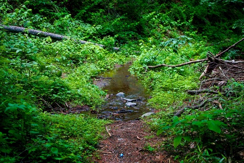 軽井沢宿から坂本宿まで中山道48