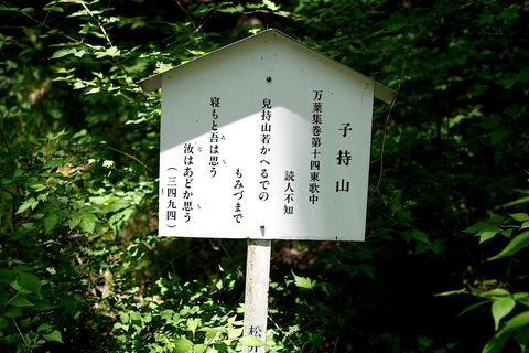 軽井沢宿から坂本宿まで中山道52