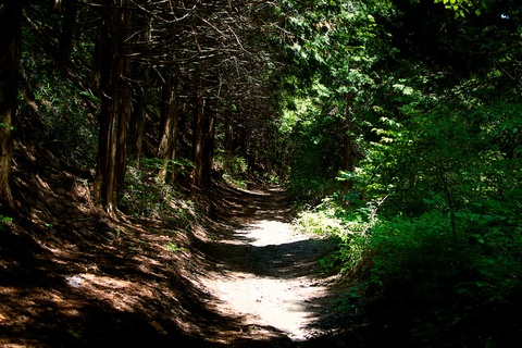 軽井沢宿から坂本宿まで中山道55