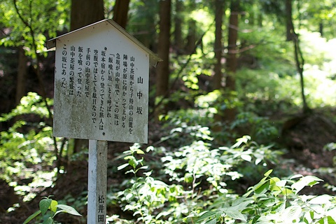 軽井沢宿から坂本宿まで中山道59