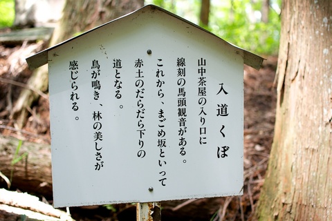 軽井沢宿から坂本宿まで中山道62