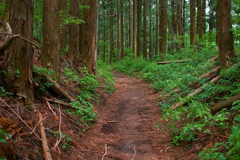 軽井沢宿から坂本宿まで中山道63