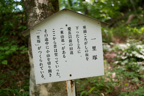 軽井沢宿から坂本宿まで中山道69