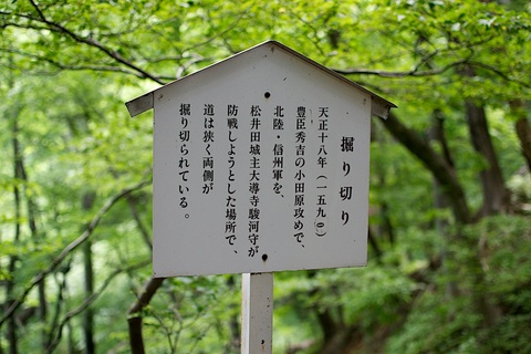 軽井沢宿から坂本宿まで中山道73