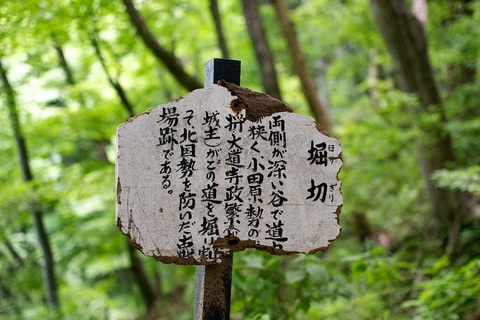軽井沢宿から坂本宿まで中山道74