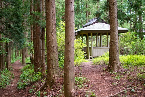 軽井沢宿から坂本宿まで中山道75