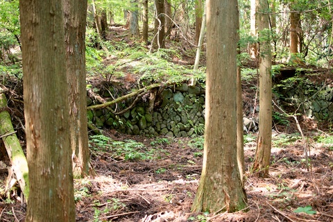 軽井沢宿から坂本宿まで中山道81